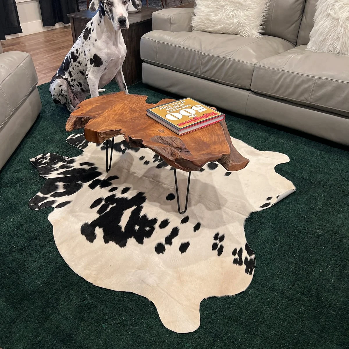 ventinots.com reviews