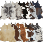 premium rugs collection for modern home interiors