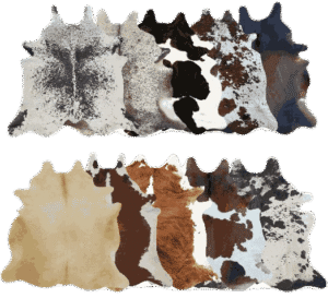 premium rugs collection for modern home interiors