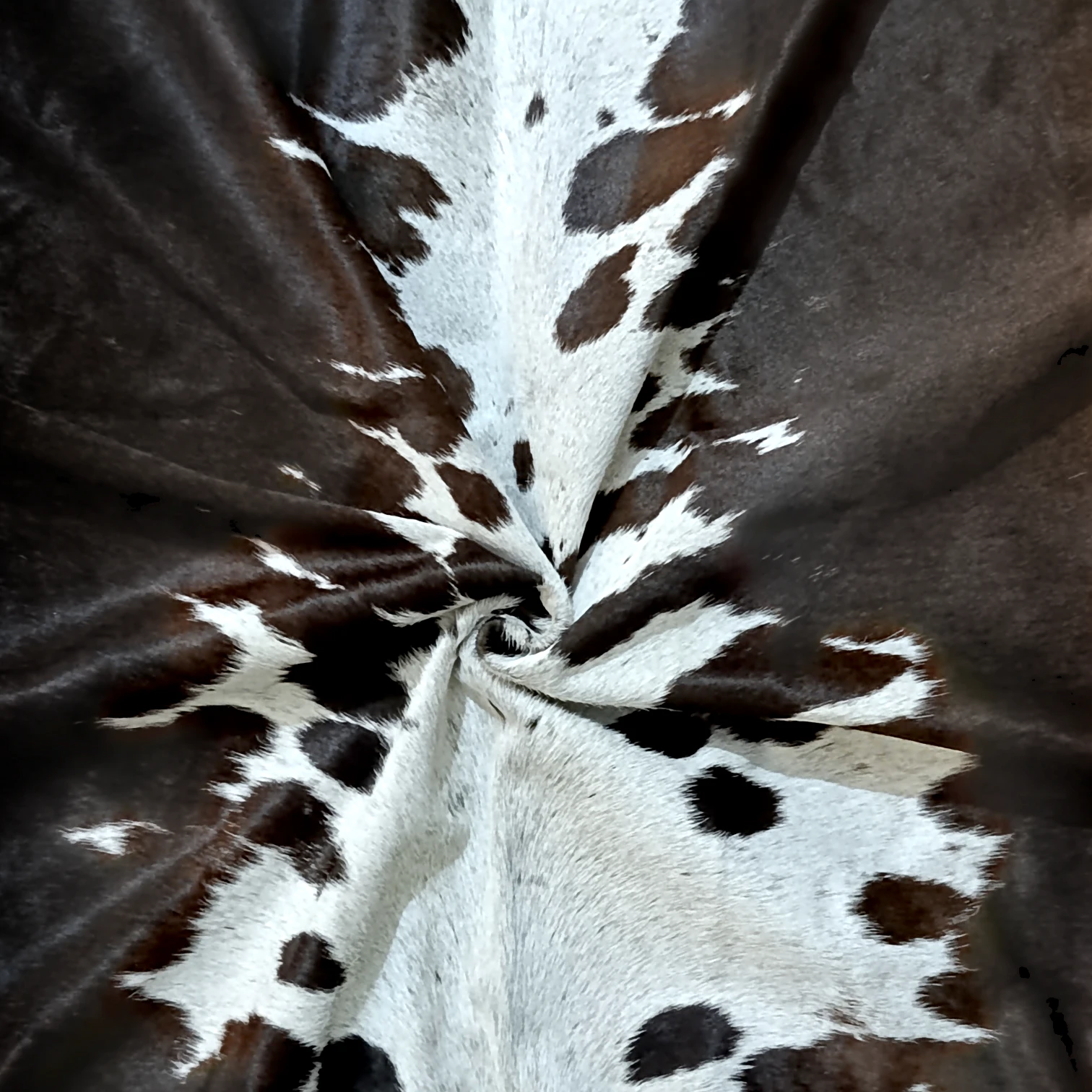 IMG_20260924_151701 Tricolor cowhide rug, 5'-10" x 6'-5", natural hide floor rug by Ventinots