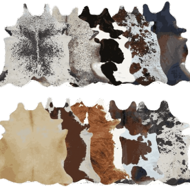 premium rugs collection for modern home interiors